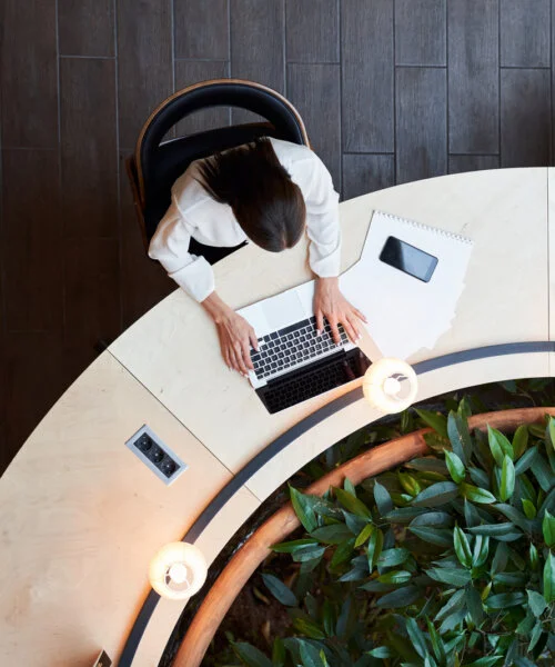 Woman uses laptop at a desk